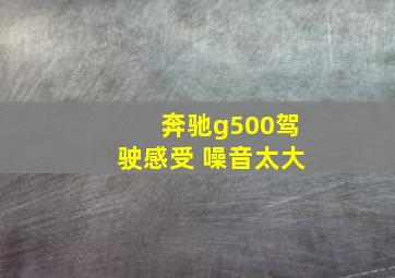 奔驰g500驾驶感受 噪音太大